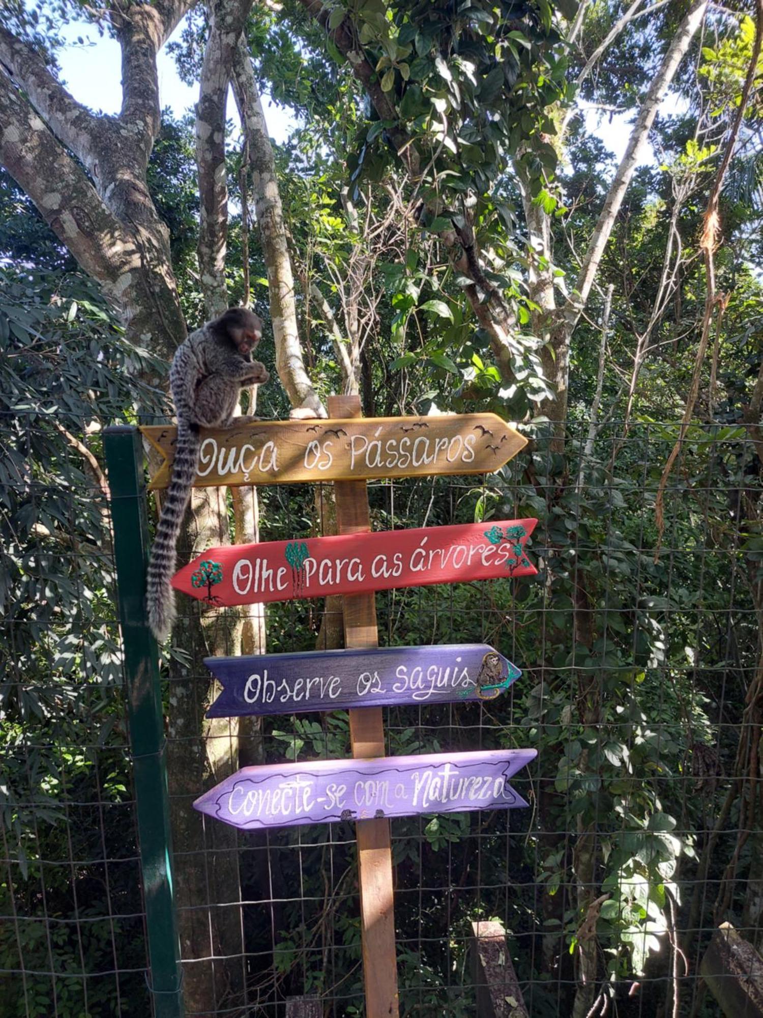 Chalé na montanha em meio a natureza com banheira de hidromassagem Florianópolis Esterno foto