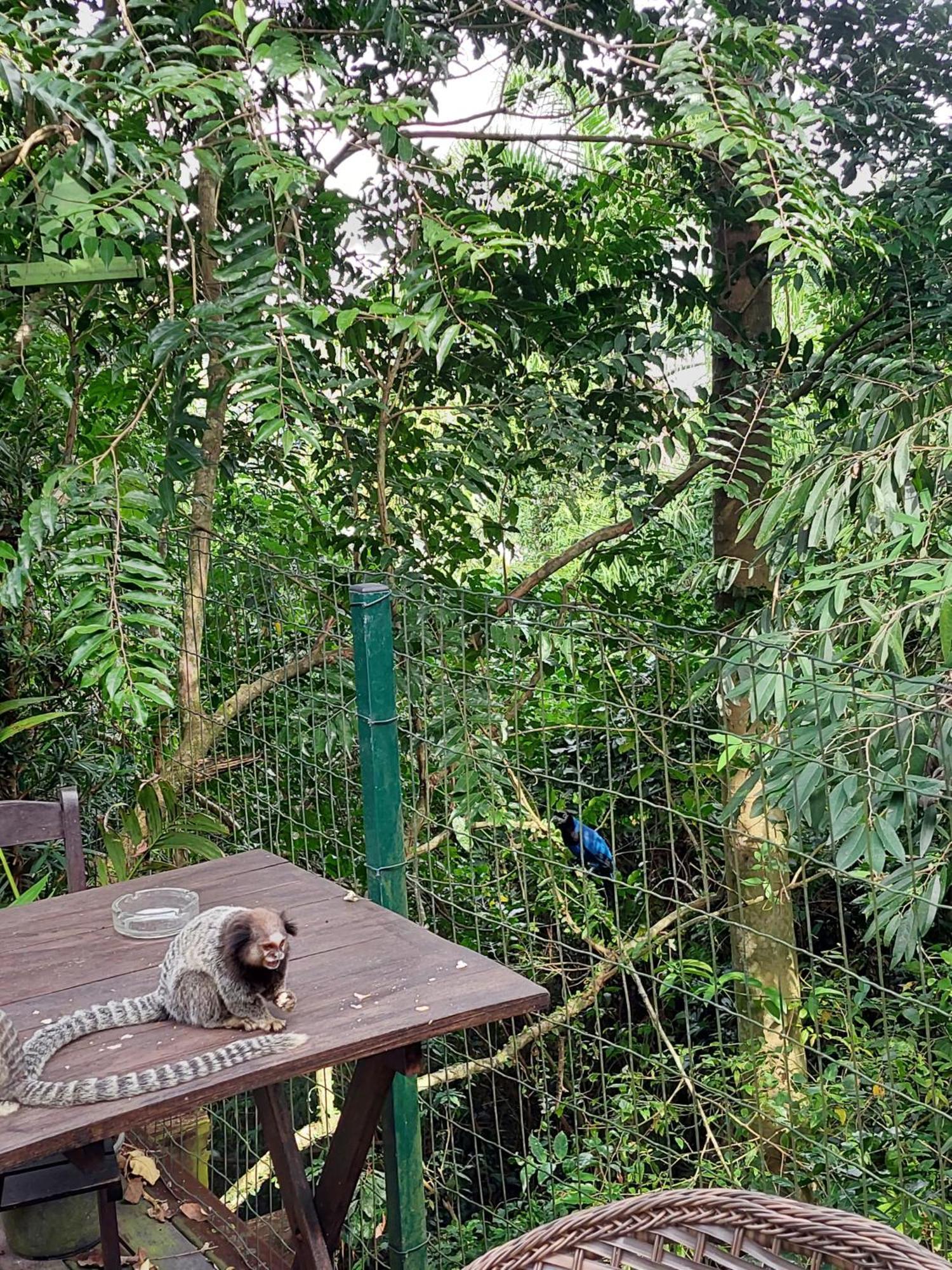 Chalé na montanha em meio a natureza com banheira de hidromassagem Florianópolis Esterno foto