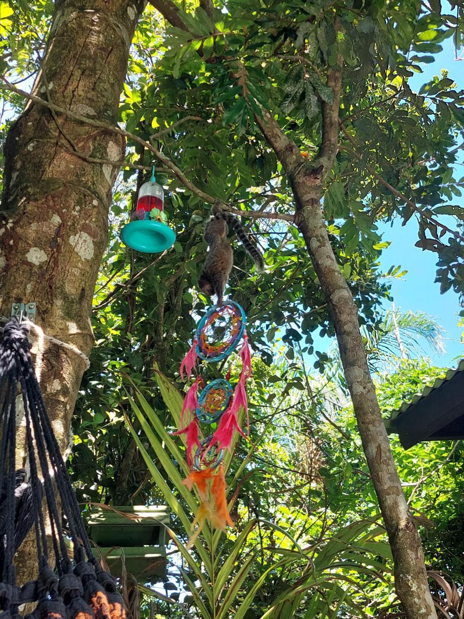 Chalé na montanha em meio a natureza com banheira de hidromassagem Florianópolis Esterno foto